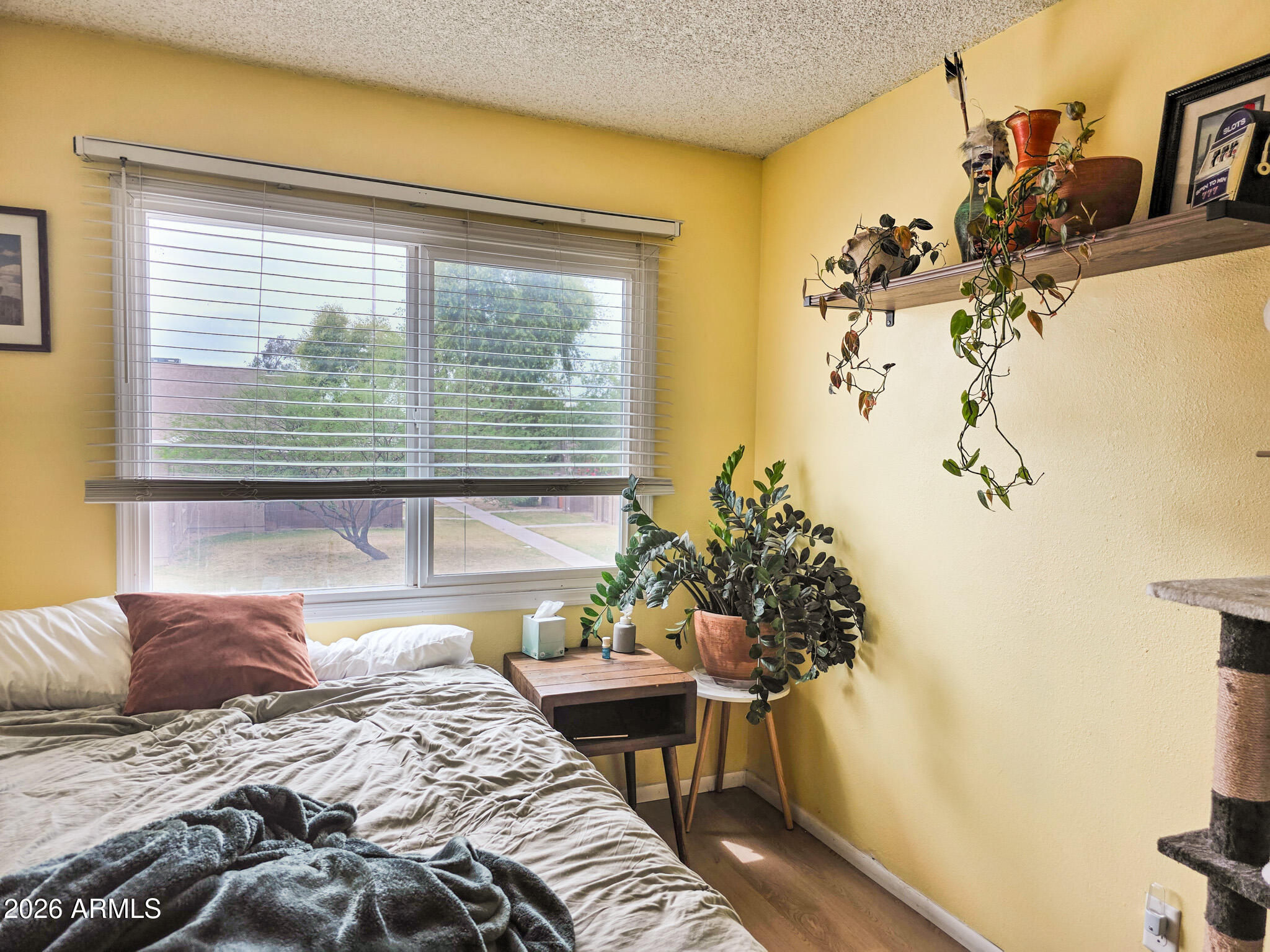 600 South Dobson Road, Unit 162 Mesa, AZ 85202 - Photo 9 of 20 Master Bedroom