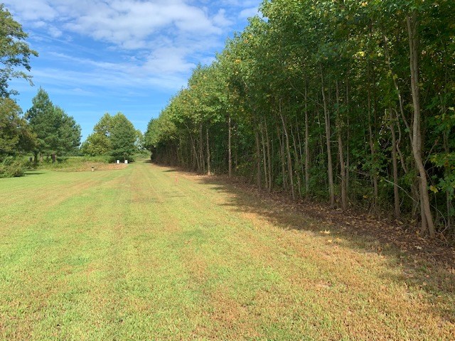 D Cheriton Cross Road, Unit D Cape Charles, VA 23310 - Photo 6 of 37