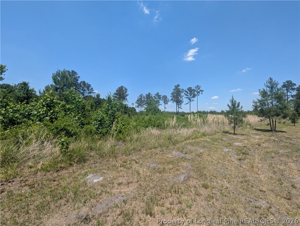 Tew Road Autryville, NC 28318 - Photo 5 of 9 a view of a big yard with a tree