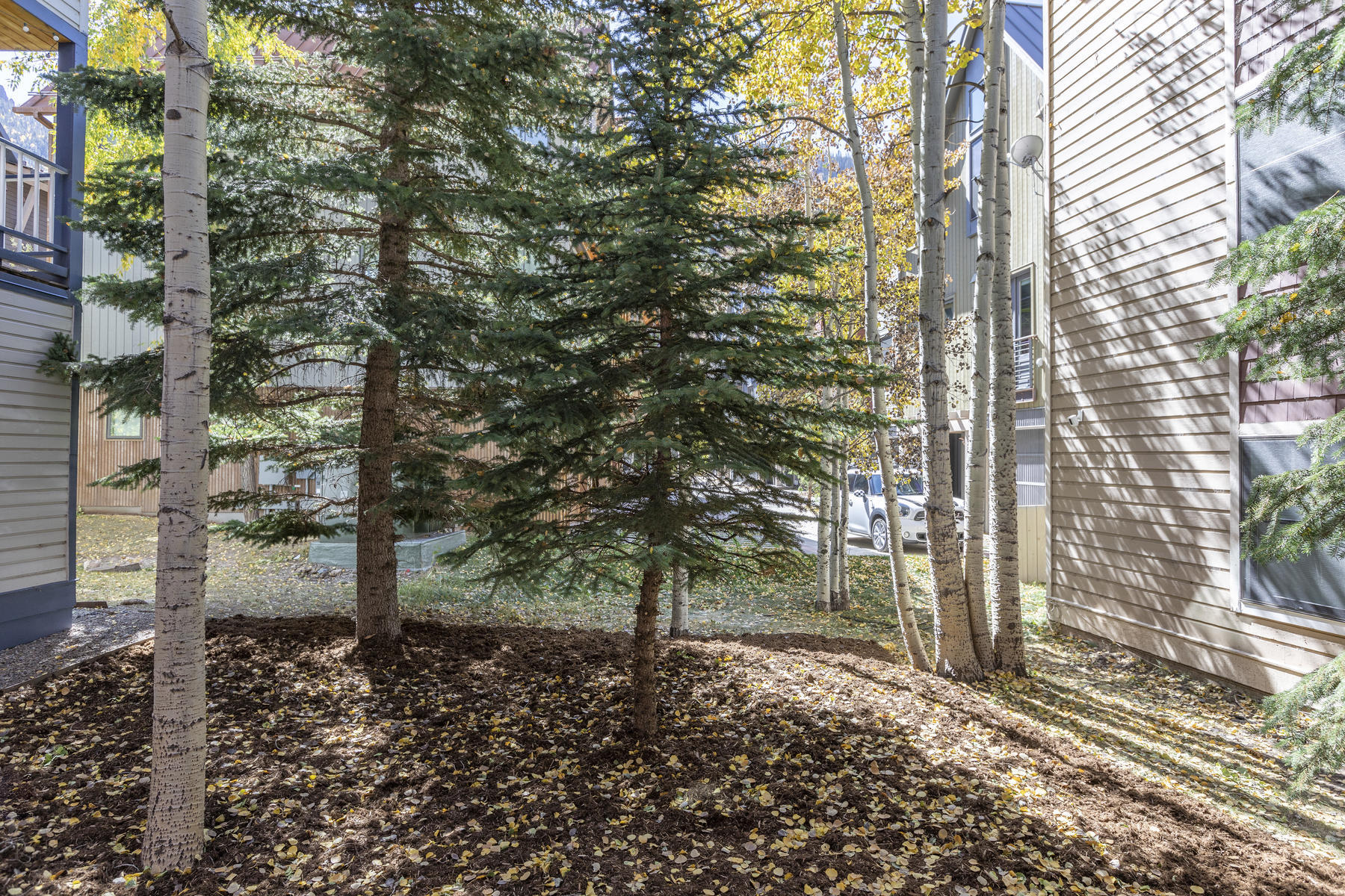 784 Smuggler Avenue, Unit 2 Telluride, CO 81435 - Photo 6 of 8 a backyard of a house with lots of green space