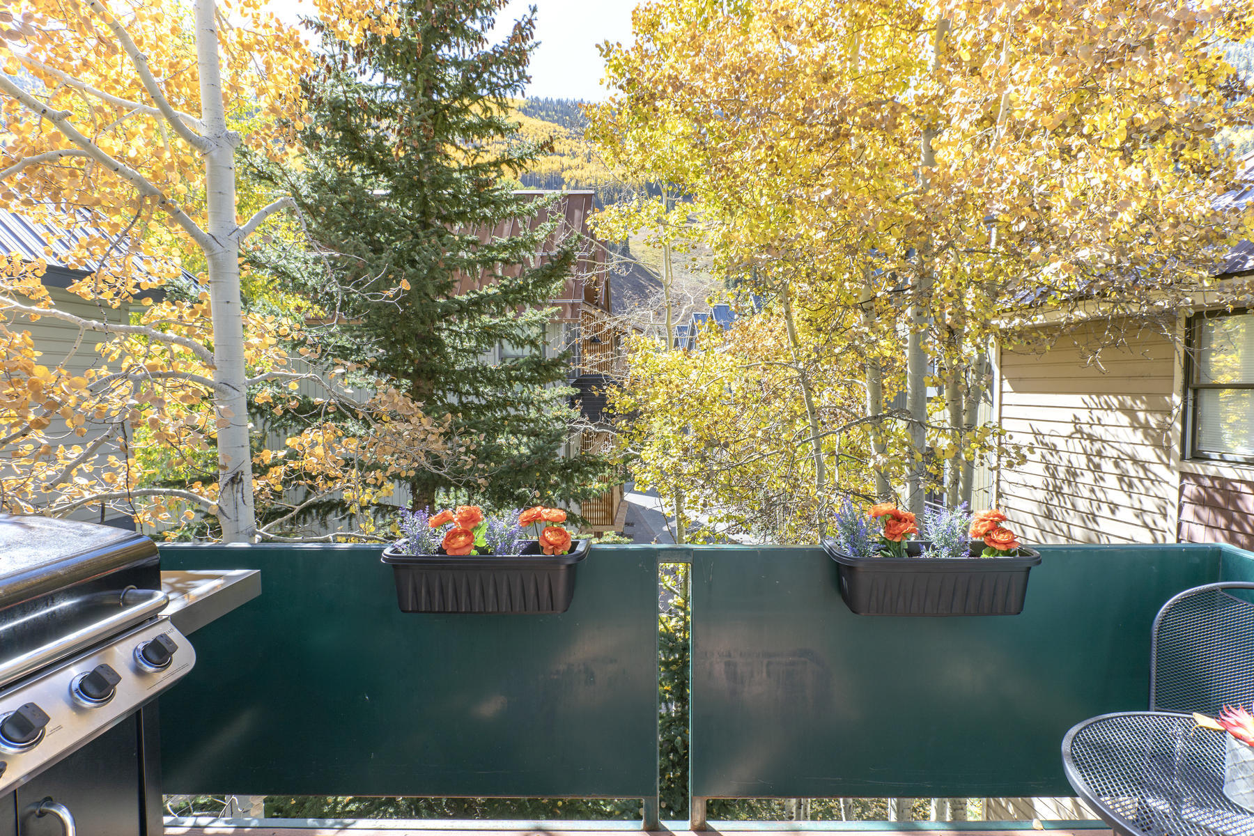784 Smuggler Avenue, Unit 2 Telluride, CO 81435 - Photo 7 of 8 a view of a chairs and table in a yard