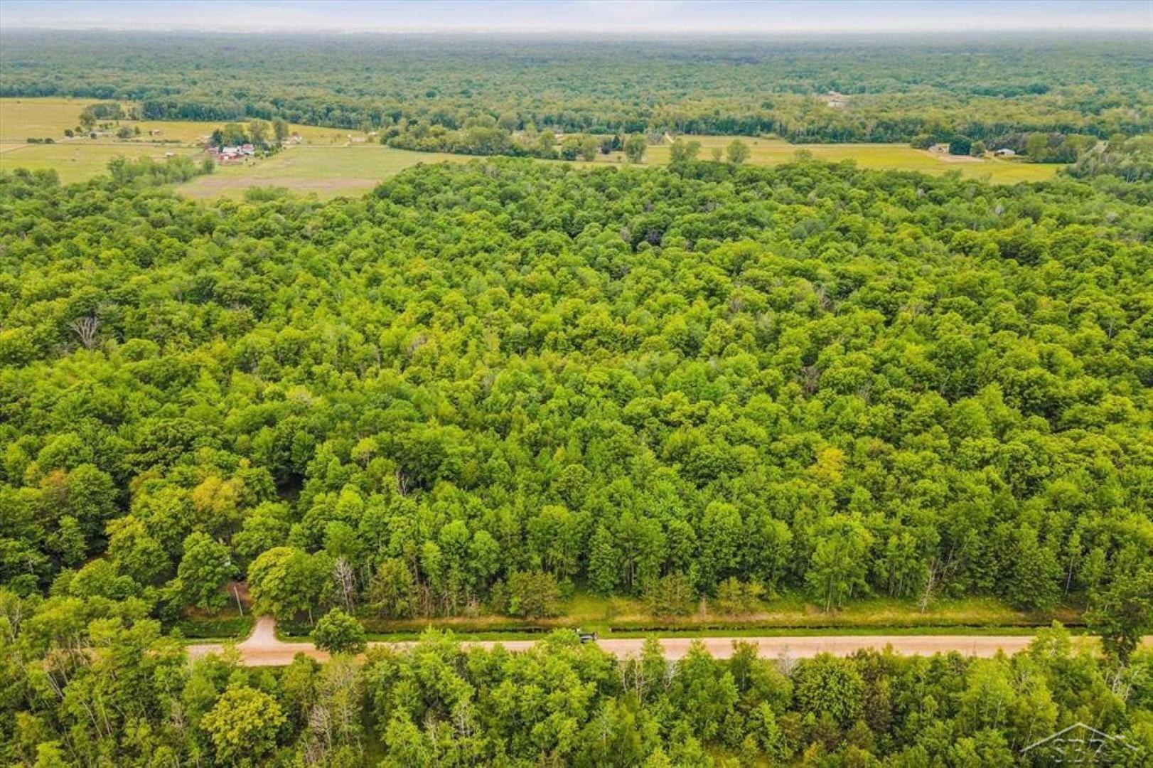 Ten South 10 Mile Road Midland, MI 48640 - Photo 13 of 31