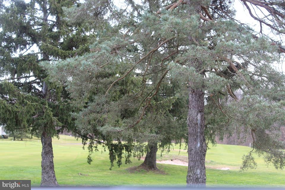 337 Brandon Road Norristown, PA 19403 - Photo 19 of 25 Beautiful "Greens"