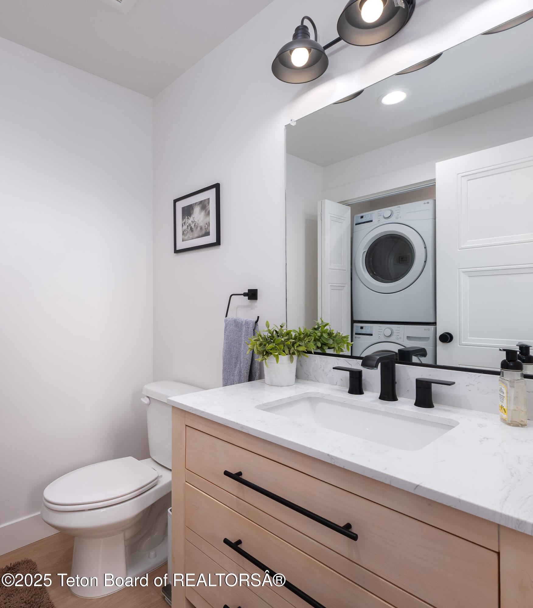 112 Aspen Meadows Road, Unit 36 Driggs, ID 83422 - Photo 19 of 19 19 powder laundry