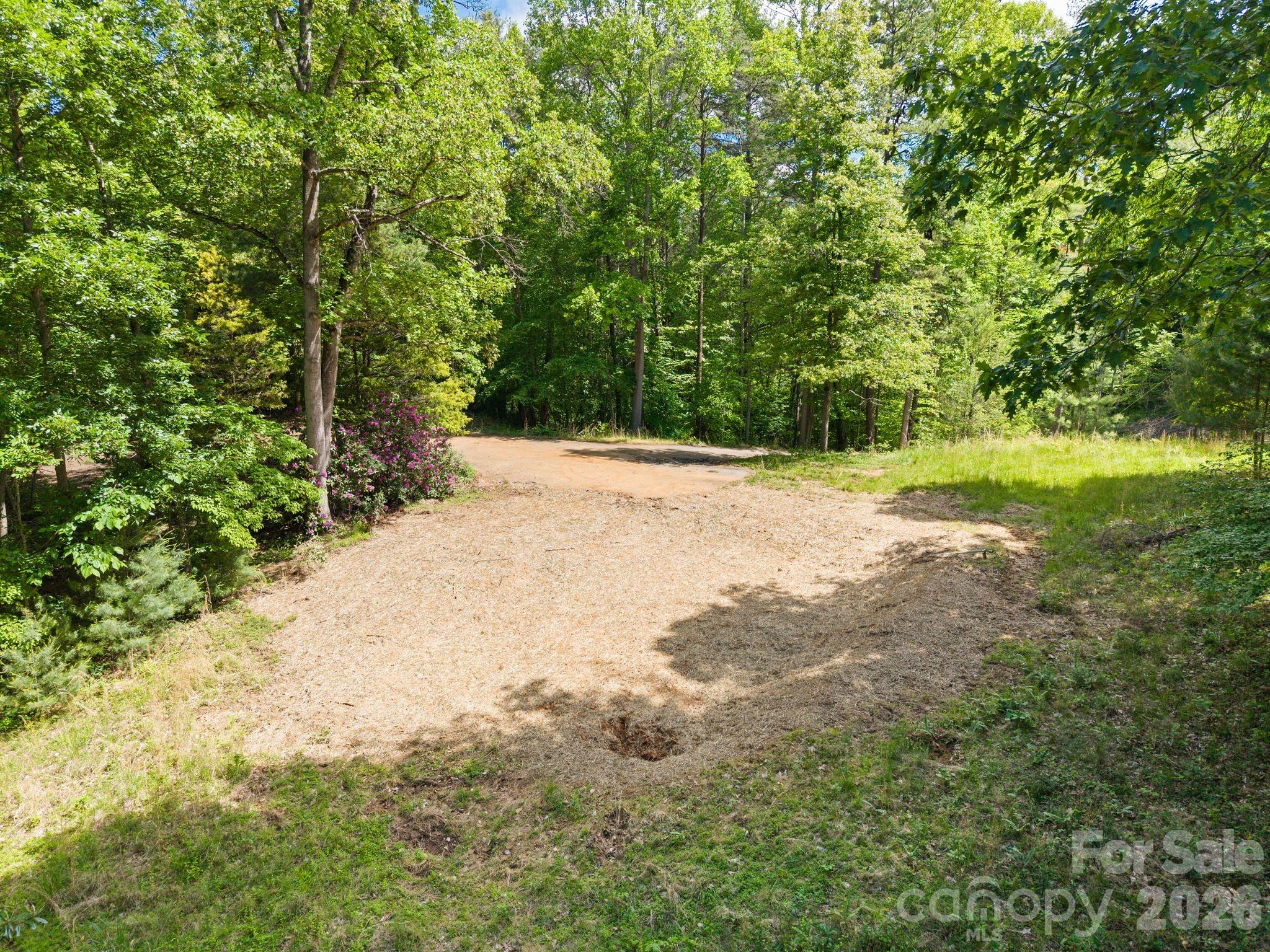 31 White Bridge Road Weaverville, NC 28787 - Photo 2 of 14