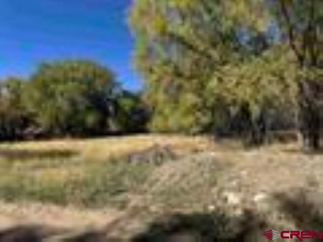1-2 Price Road Paonia, CO 81428 - Photo 3 of 8