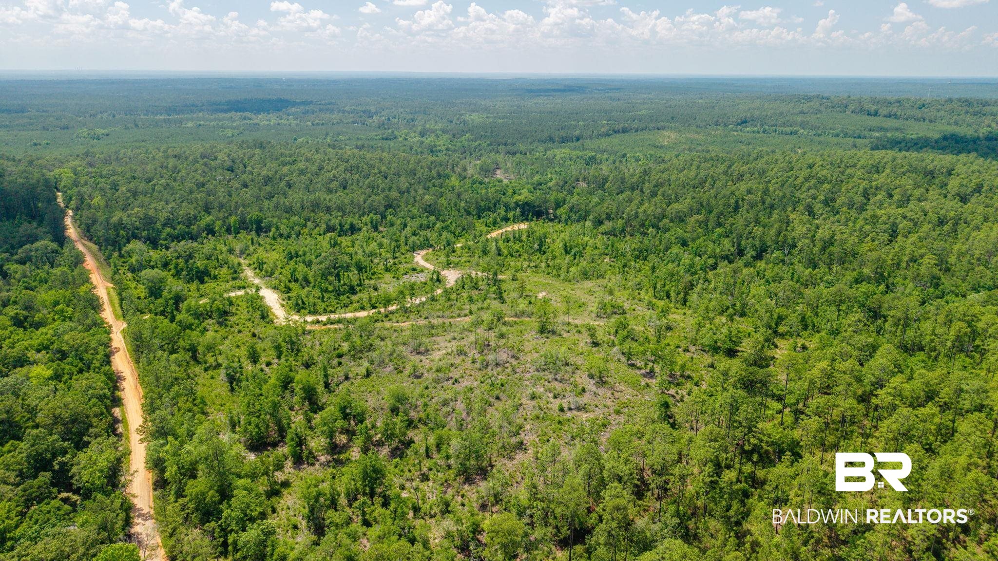 0 Joe Hall Road Bay Minette, AL 36507 - Photo 7 of 13