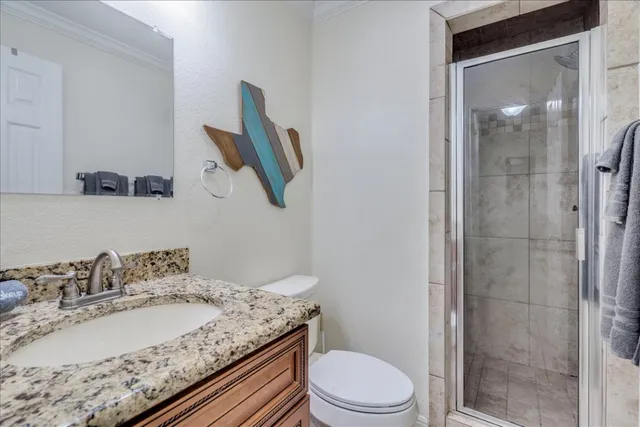 a bathroom with a granite countertop sink a toilet and shower