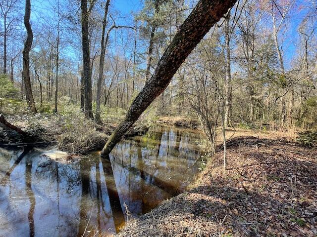 117 Oak Estates Way Ridgeville, SC 29472 - Photo 25 of 26 IMG_3801