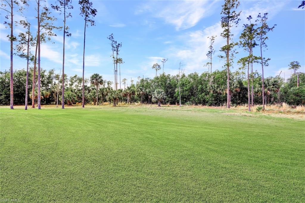 2875 Garland Road Naples, FL 34117 - Photo 23 of 34 a view of a park with large trees