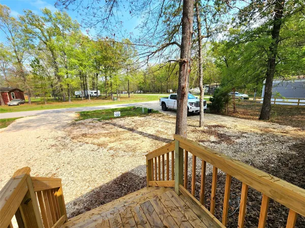 a view of a yard with trees