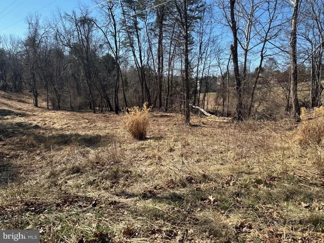 a view of road with trees