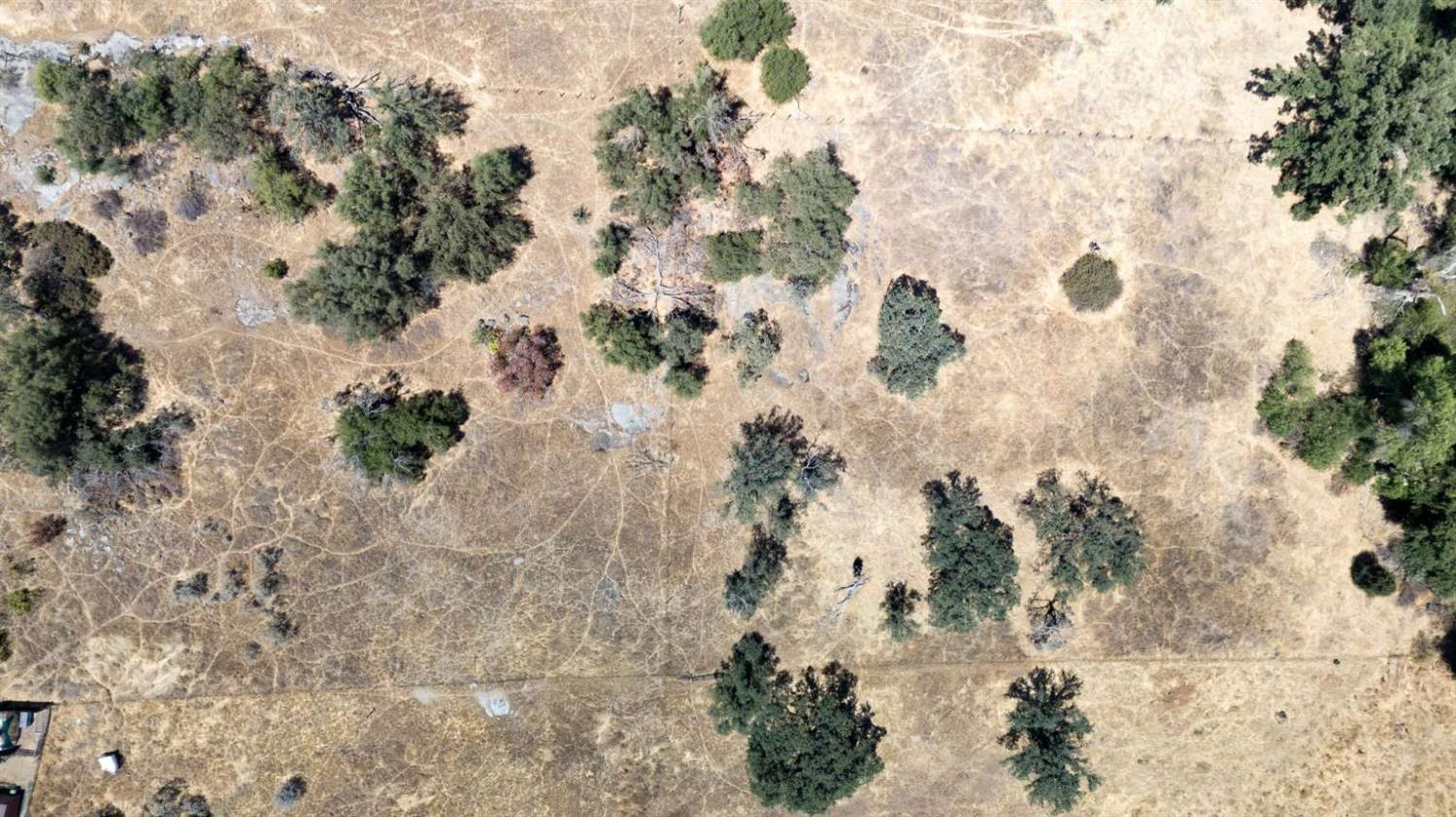 37127 Ripple Lane Squaw Valley, CA 93675 - Photo 12 of 16