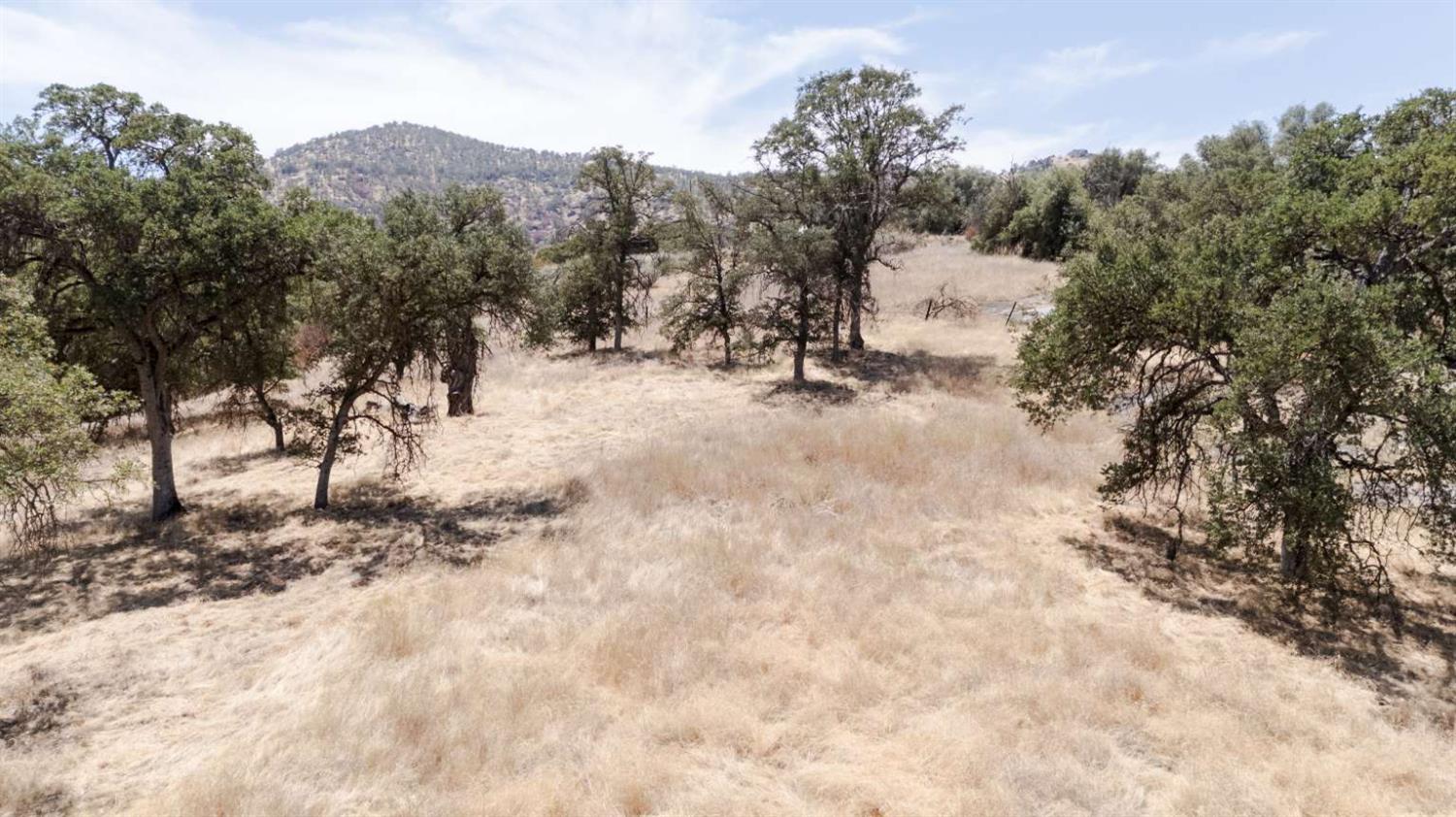 37127 Ripple Lane Squaw Valley, CA 93675 - Photo 9 of 16