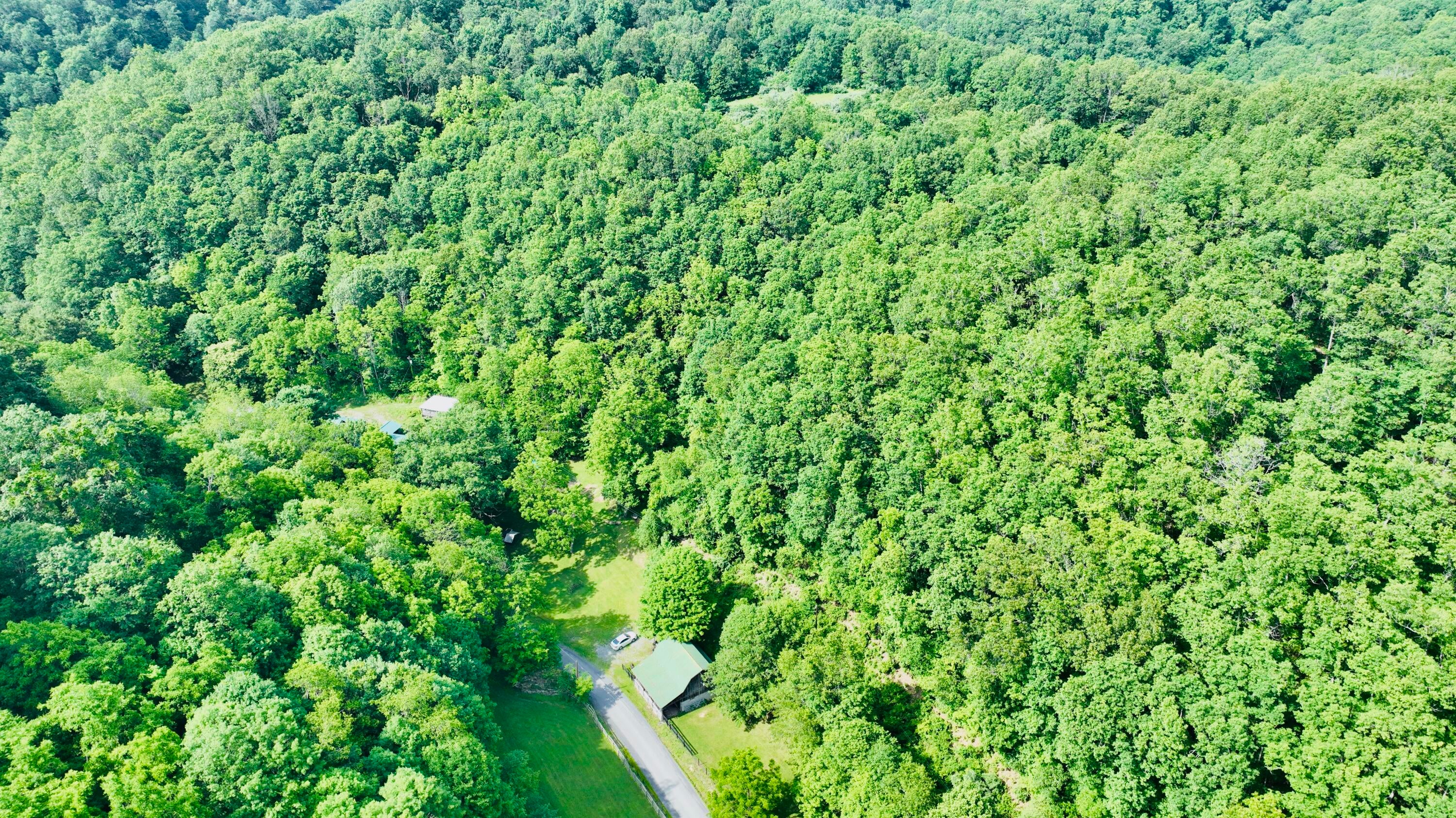 366 Raders Valley Road Lewisburg, WV 24901 - Photo 103 of 111 Gallery Image 103