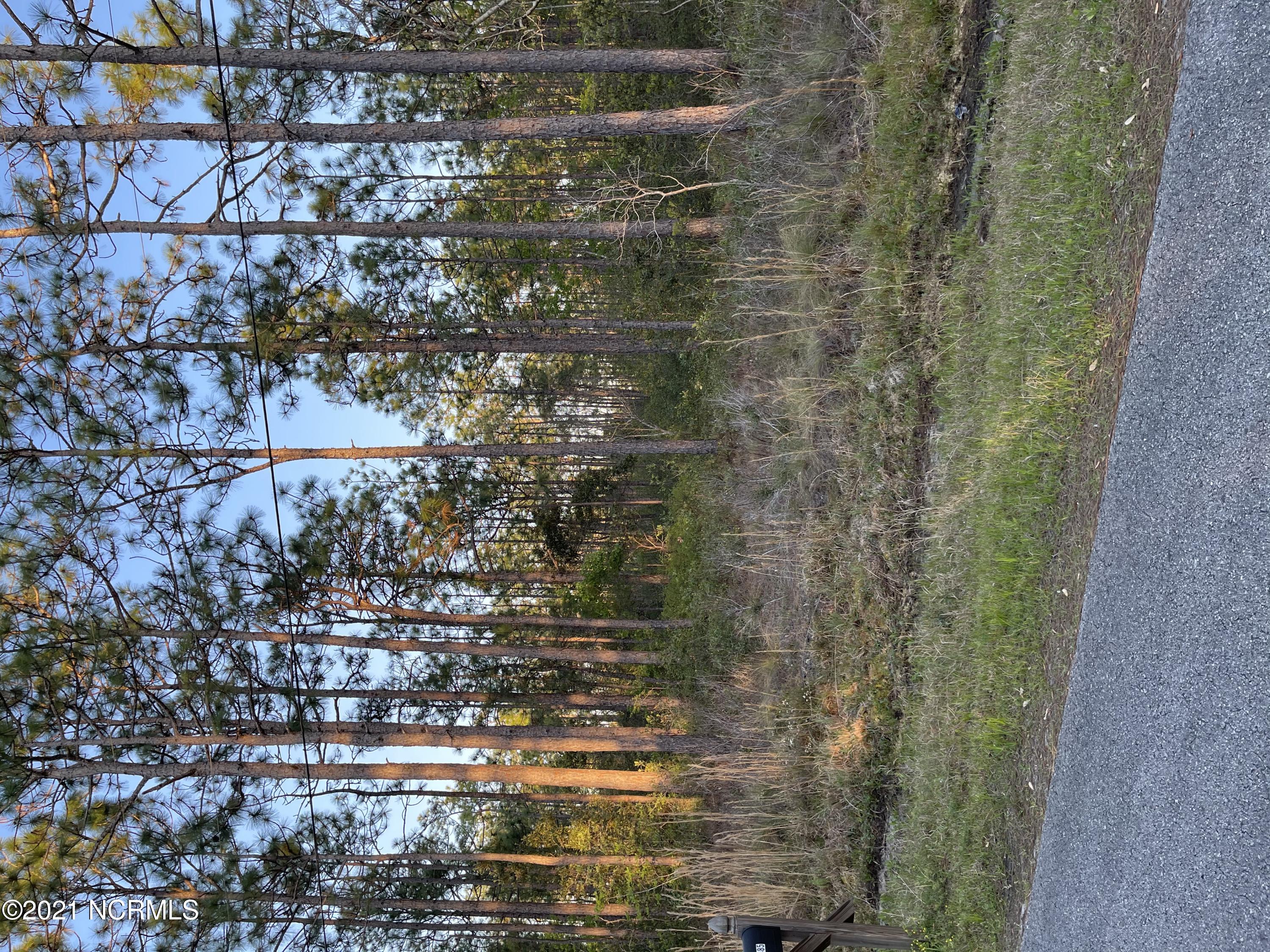 490 Pepperhill Road Southport, NC 28461 - Photo 1 of 1 Front view of lot