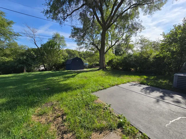 a view of a park with large trees