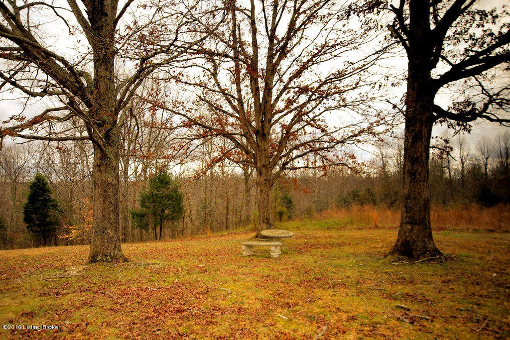 11186 Anneta Road Leitchfield, KY 42754 - Photo 16 of 33 16 11186 Annetta Rd