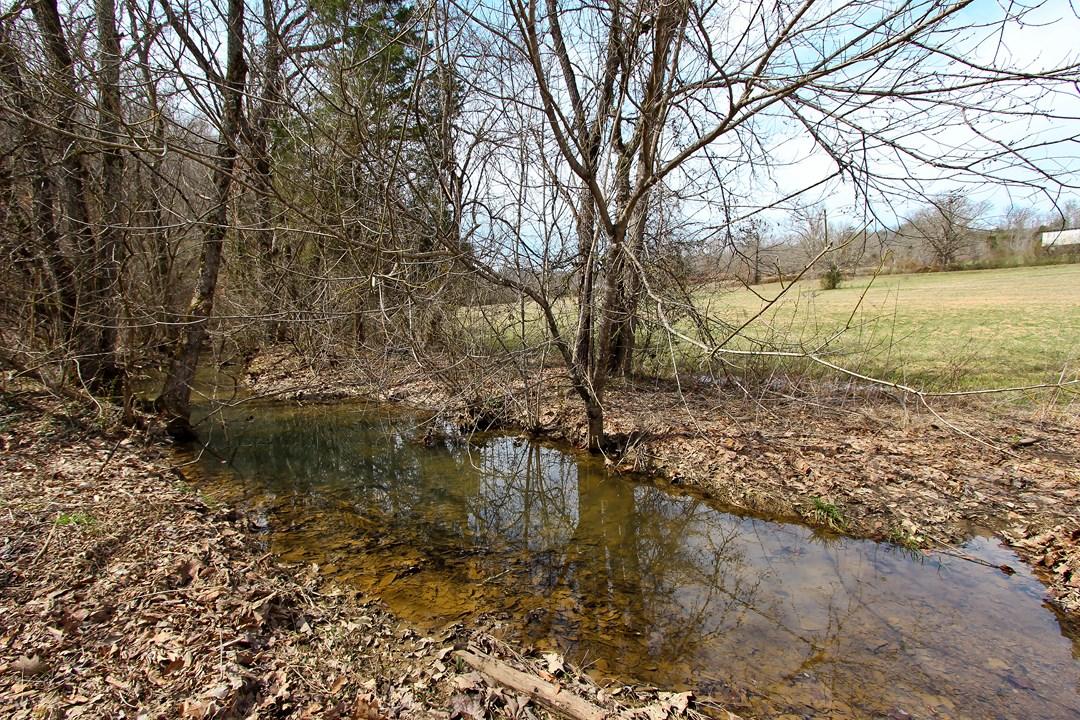 12.75-ac Keisling Road Newport, TN 37713 - Photo 2 of 25 IMG_9955.jpg