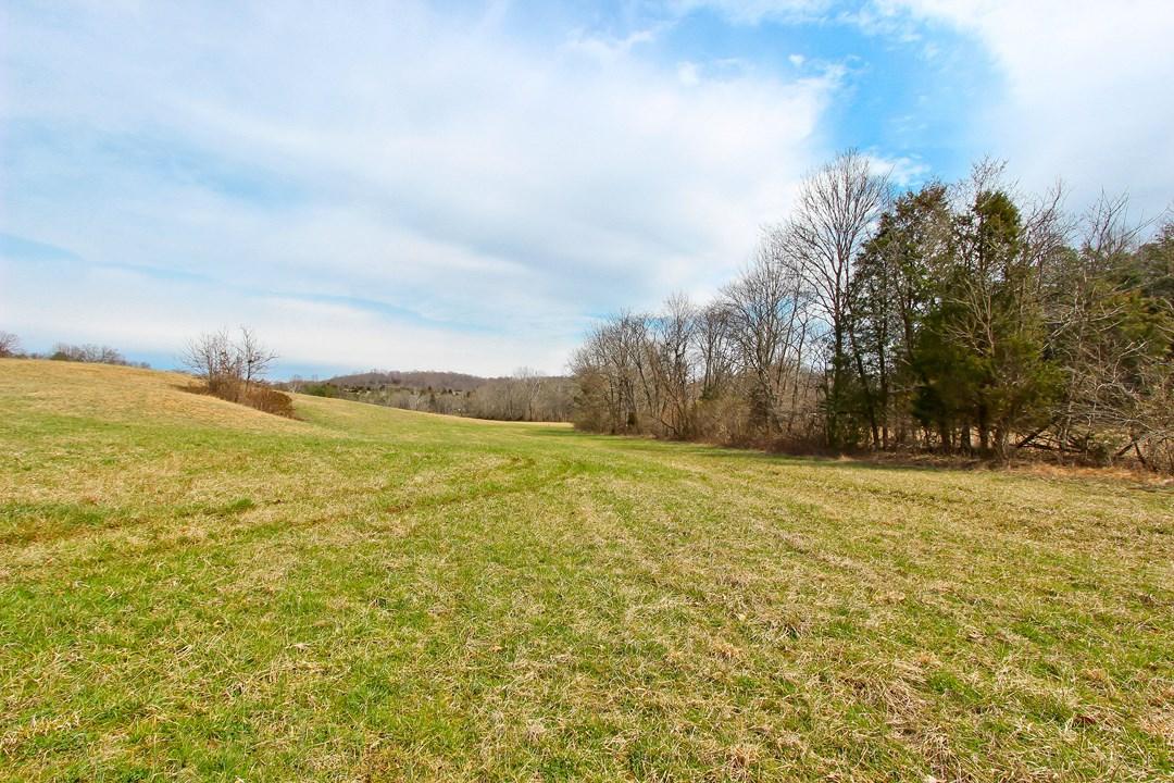 12.75-ac Keisling Road Newport, TN 37713 - Photo 11 of 25 IMG_9941.jpg