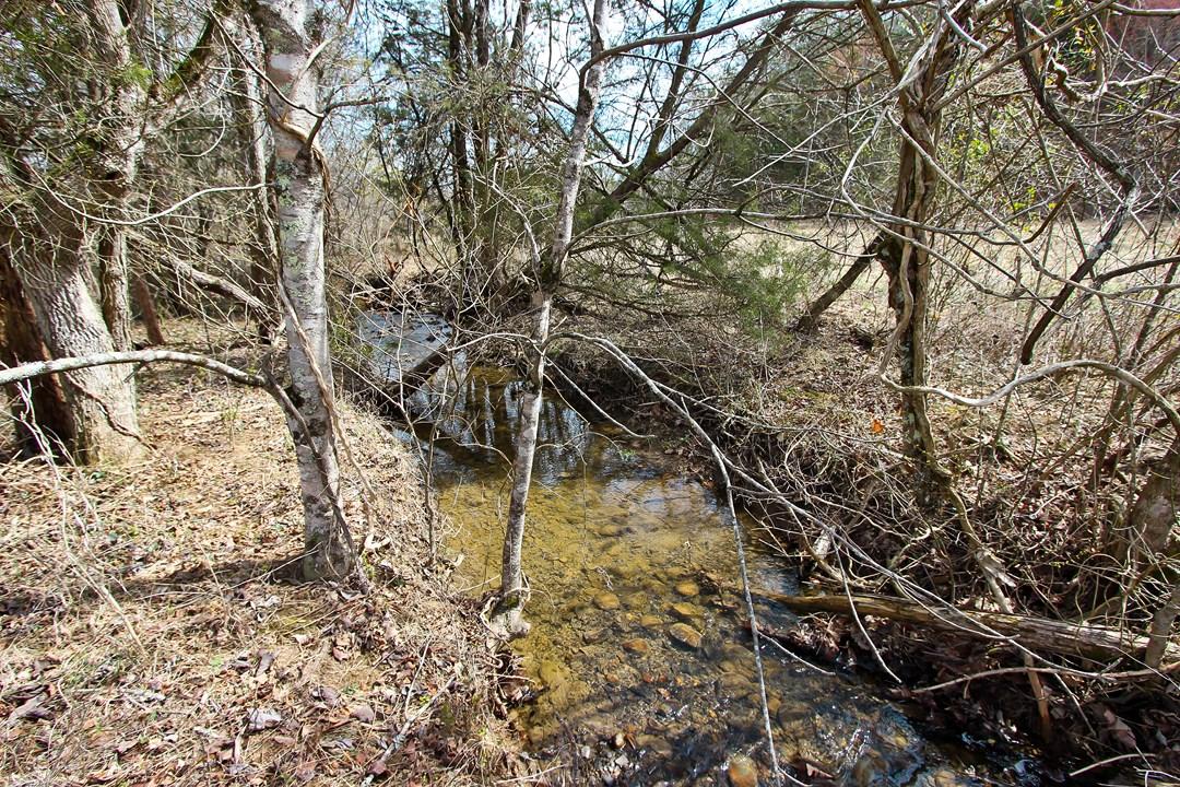 12.75-ac Keisling Road Newport, TN 37713 - Photo 12 of 25 IMG_9942.jpg