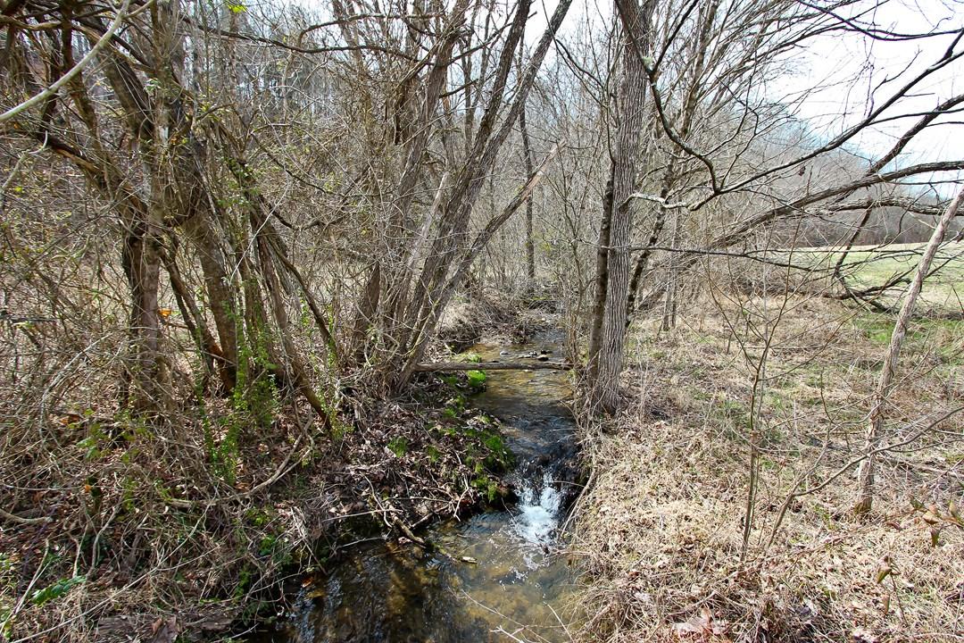 12.75-ac Keisling Road Newport, TN 37713 - Photo 13 of 25 IMG_9943.jpg