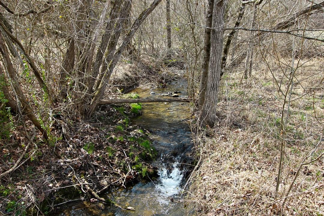 12.75-ac Keisling Road Newport, TN 37713 - Photo 14 of 25 IMG_9944.jpg