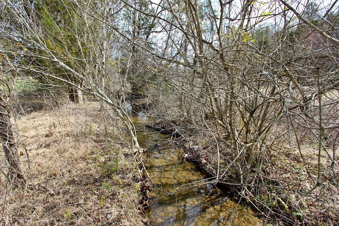 12.75-ac Keisling Road Newport, TN 37713 - Photo 15 of 25 IMG_9945.jpg