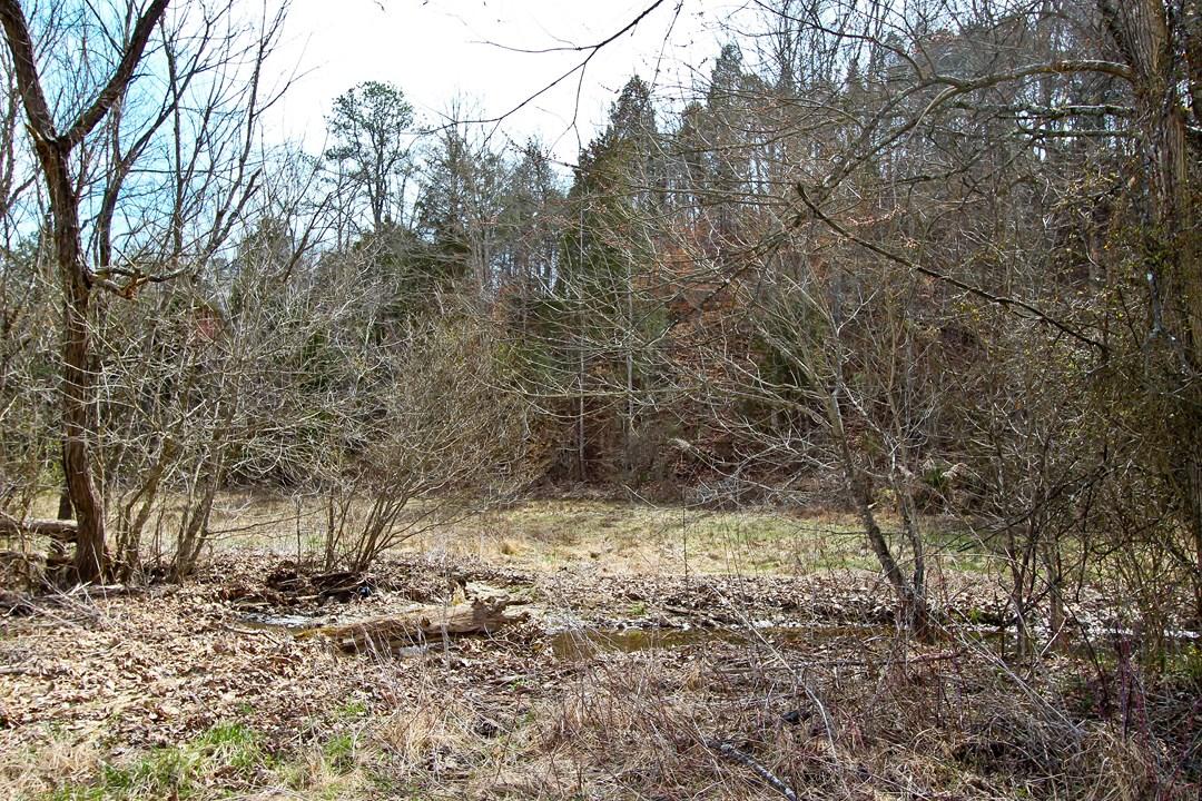 12.75-ac Keisling Road Newport, TN 37713 - Photo 16 of 25 IMG_9946.jpg