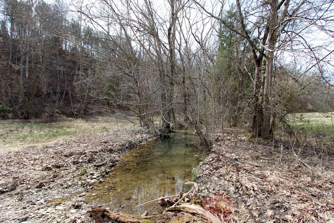 12.75-ac Keisling Road Newport, TN 37713 - Photo 17 of 25 IMG_9947.jpg