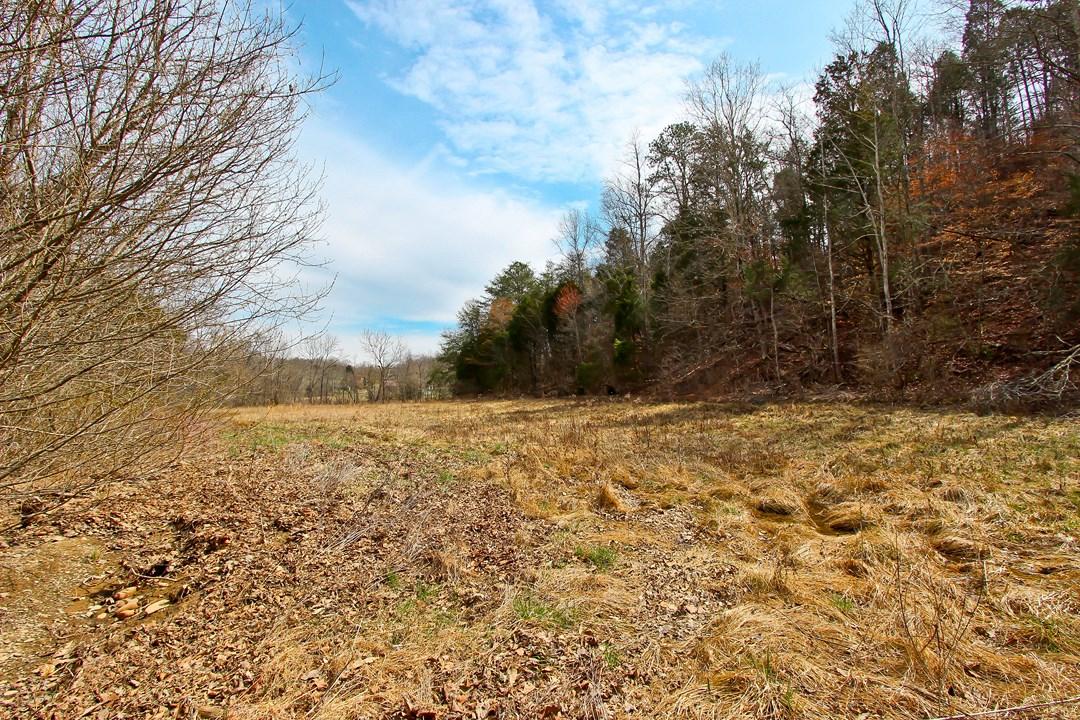 12.75-ac Keisling Road Newport, TN 37713 - Photo 18 of 25 IMG_9948.jpg