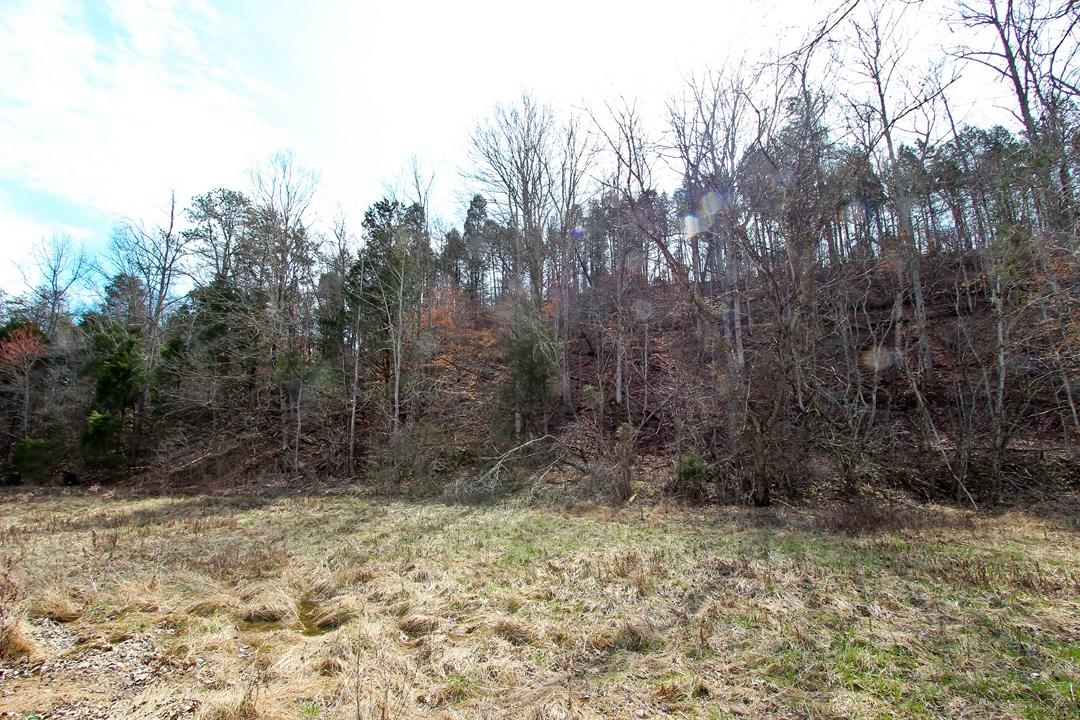 12.75-ac Keisling Road Newport, TN 37713 - Photo 19 of 25 IMG_9949.jpg