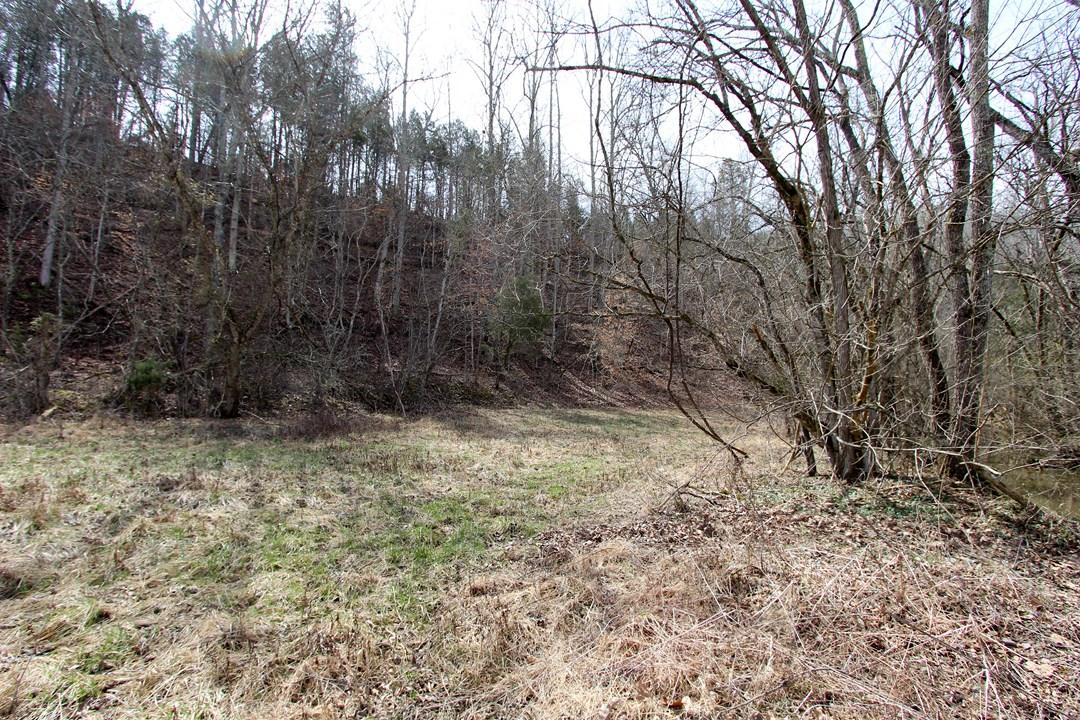 12.75-ac Keisling Road Newport, TN 37713 - Photo 20 of 25 IMG_9950.jpg