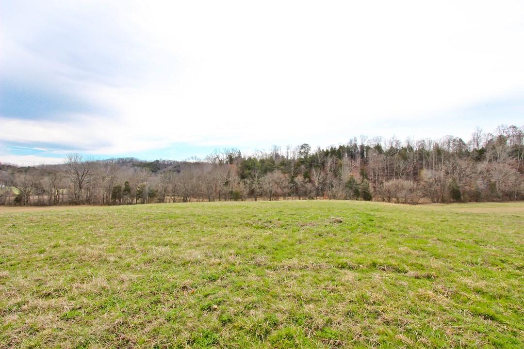 12.75-ac Keisling Road Newport, TN 37713 - Photo 3 of 25 IMG_9932.jpg