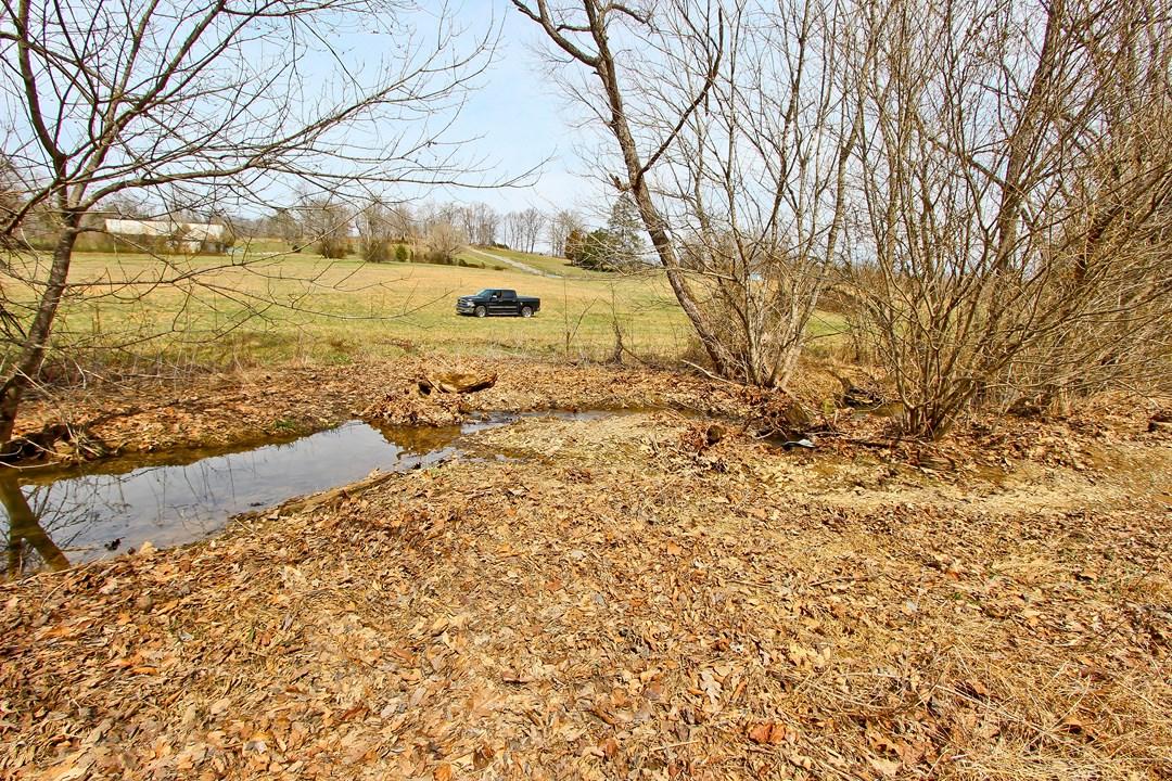 12.75-ac Keisling Road Newport, TN 37713 - Photo 22 of 25 IMG_9952.jpg