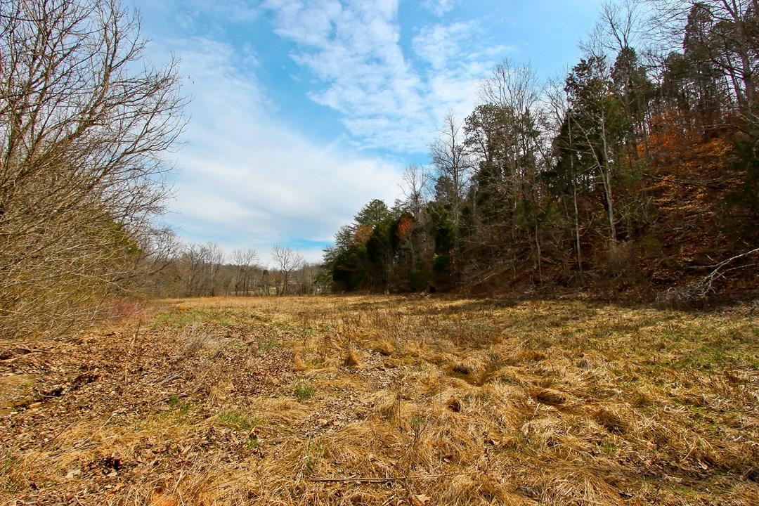 12.75-ac Keisling Road Newport, TN 37713 - Photo 24 of 25 IMG_9954.jpg