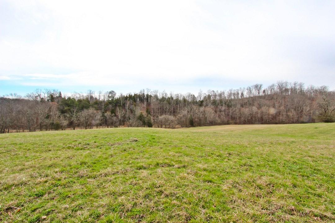 12.75-ac Keisling Road Newport, TN 37713 - Photo 4 of 25 IMG_9933.jpg