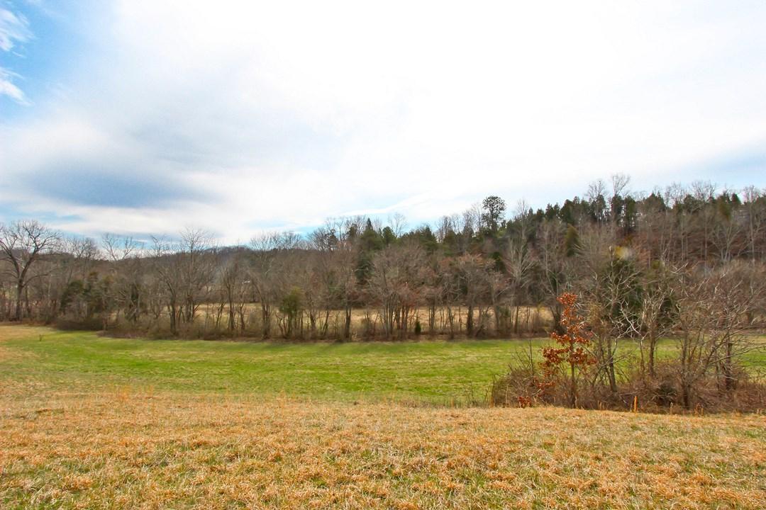 12.75-ac Keisling Road Newport, TN 37713 - Photo 6 of 25 IMG_9935.jpg
