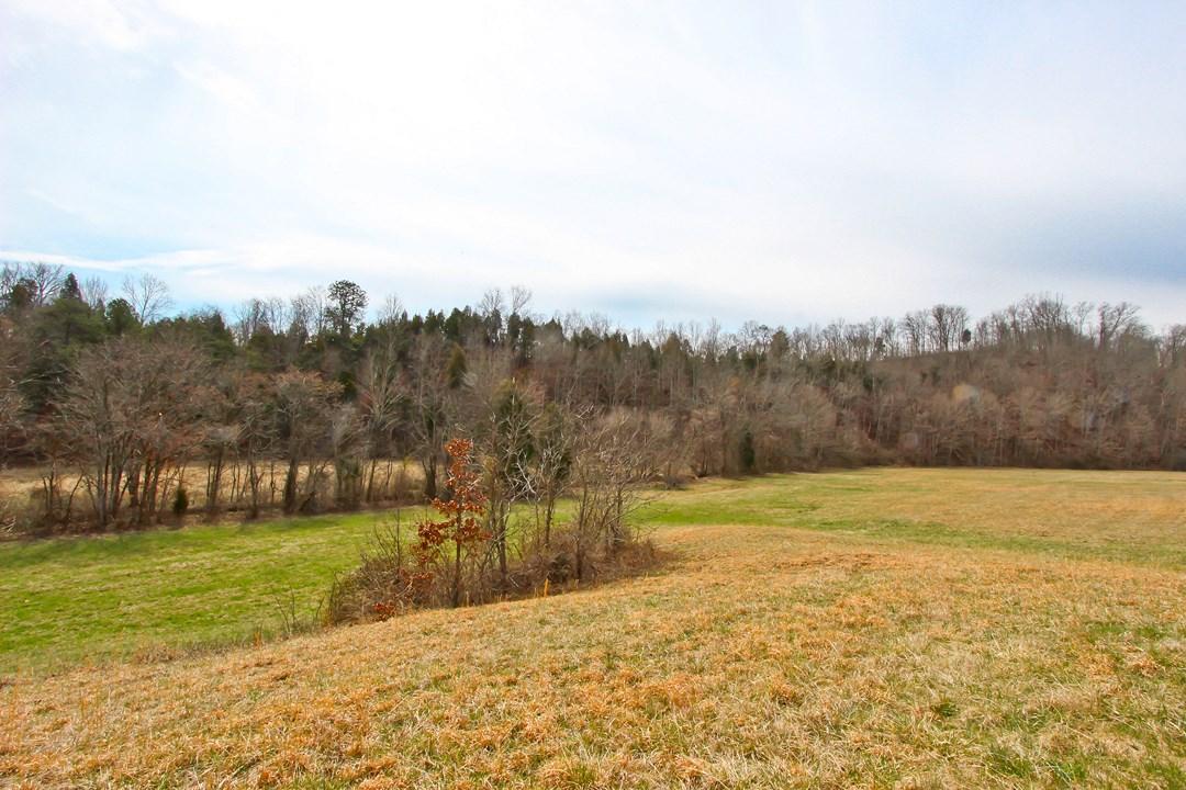12.75-ac Keisling Road Newport, TN 37713 - Photo 7 of 25 IMG_9937.jpg