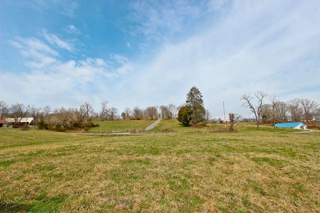 12.75-ac Keisling Road Newport, TN 37713 - Photo 8 of 25 IMG_9938.jpg
