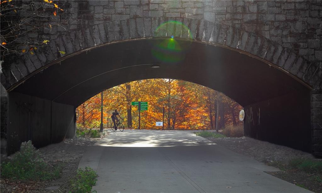 585 Sherwood Road Northeast Atlanta, GA 30324 - Photo 87 of 104