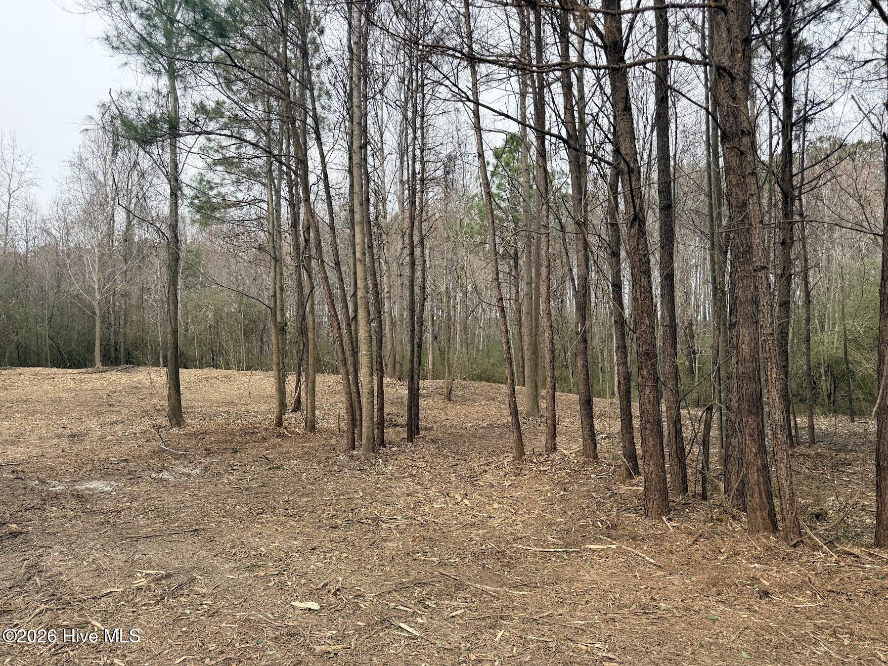 227 Langley Road Chocowinity, NC 27817 - Photo 6 of 16 Photo 11 02.25.2026