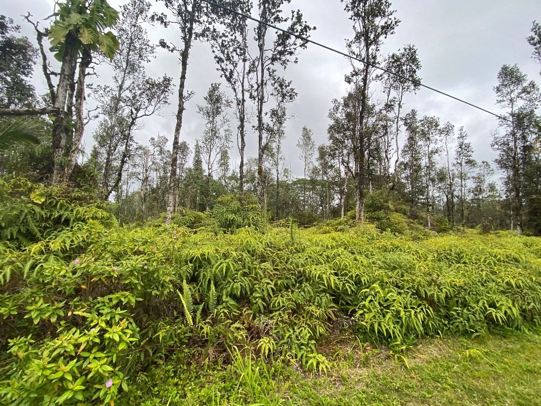 137 Molokai Road Pahoa, HI 96778 - Photo 4 of 4
