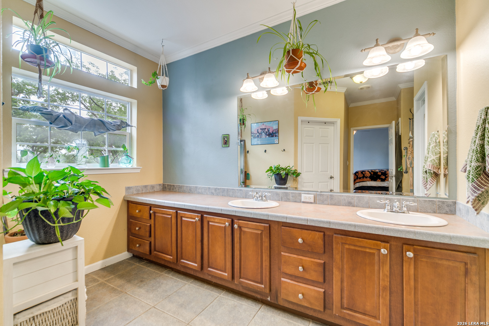 5 Fm 473 Comfort, TX 78013 - Photo 15 of 27 a bathroom with a sink a faucet a potted plant and a shower