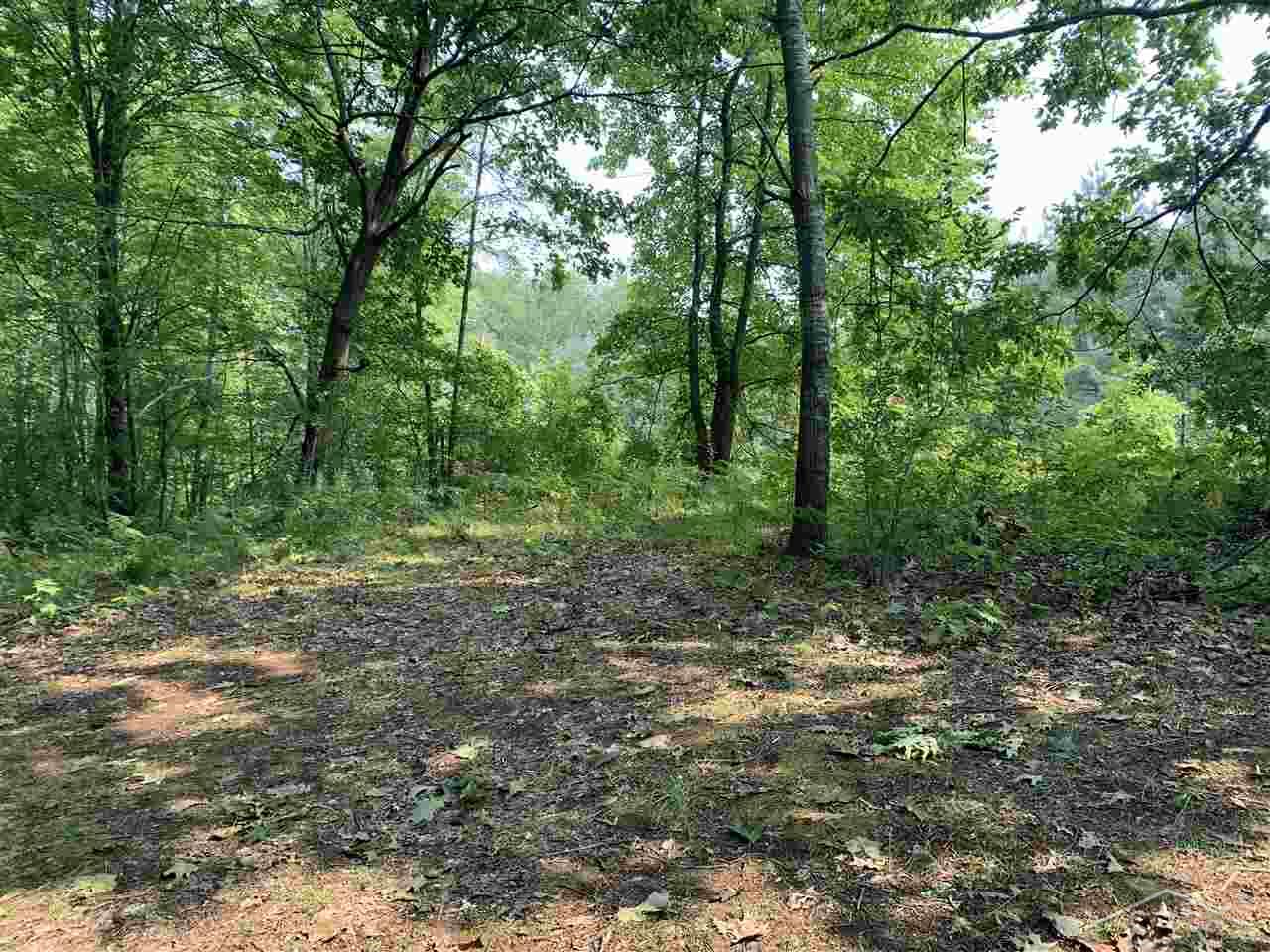 V/l Washburn Road Vassar, MI 48768 - Photo 4 of 5