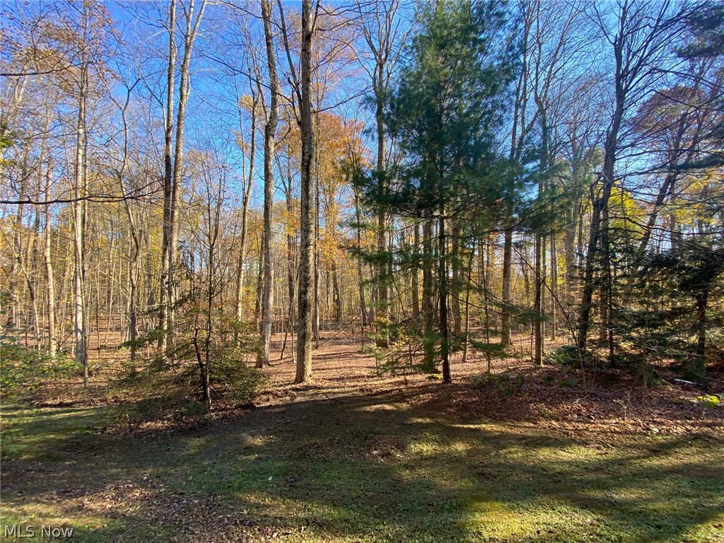 10431 Mulberry Road Chardon, OH 44024 - Photo 6 of 34 Gallery Image 6
