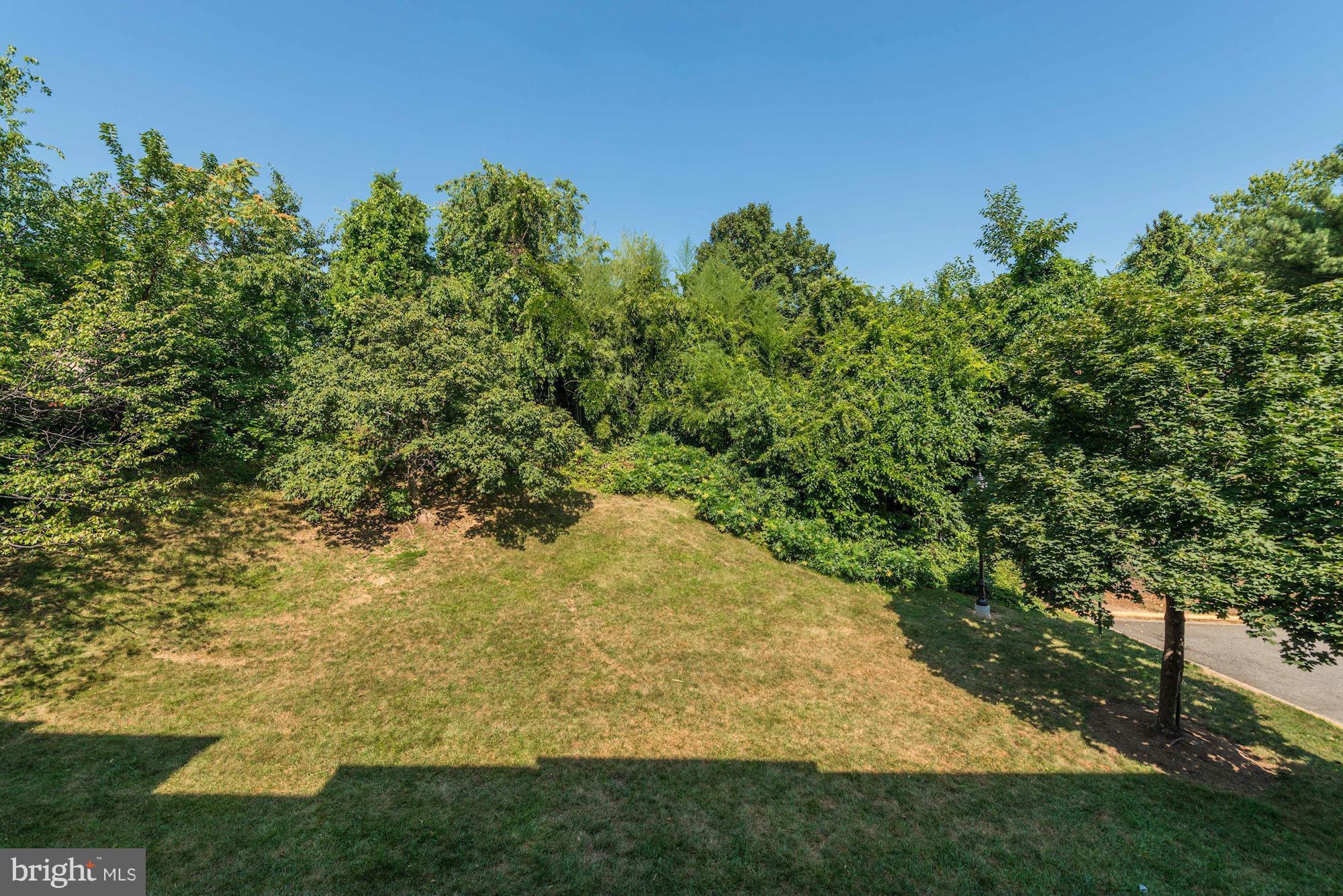 6155 Edsall Road, Unit H Alexandria, VA 22304 - Photo 29 of 30 a view of a yard with an outdoor space