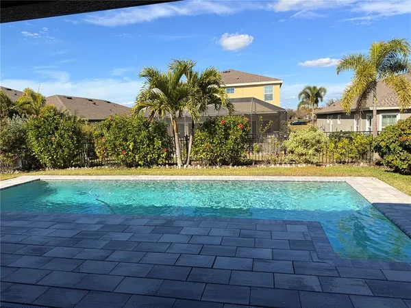 a view of backyard with plants and trees