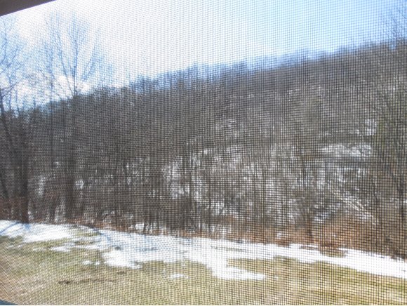 250 Newman Road Newark Valley, NY 13811 - Photo 15 of 24 Gallery Image 15
