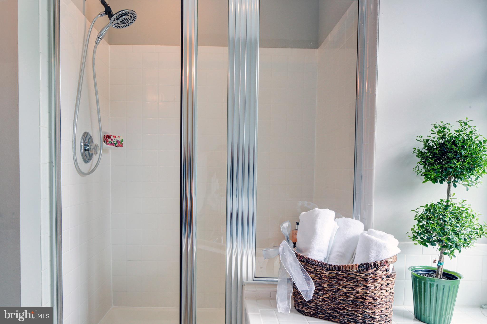 1428 Bretton View Road Annapolis, MD 21409 - Photo 21 of 41 Sparkling clean shower
